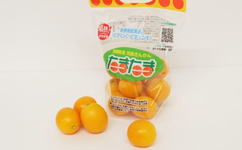 ＜宮崎県産【2025年 数量限定】大粒 完熟キンカン たまたま 250g 小袋10袋入り＞2025年1月中旬～2月下旬迄に順次出荷 金柑 きんかん フルーツ 柑橘 果物 くだもの 数量限定 小袋 セット 1540629 - 宮崎県高鍋町