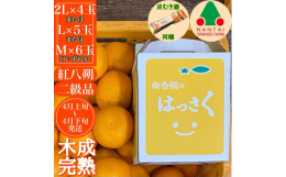 【発送時期】2025年4月上旬〜4月下旬頃の予定 ※天候により発送時期が前後する可能性がございます。予めご了承ください。 【期間限定】〜 2025年4月10日 ※在庫がなくなり次第終了となります。 【