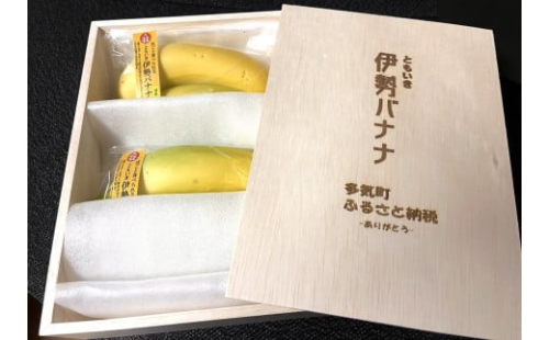 TF-03　平均糖度25度以上 国産 無農薬 皮ごと食べられる「ともいき伊勢バナナ」　贈答記念用木箱入り　4本入り 1540727 - 三重県多気町