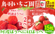 ＜ 先行予約 ＞ いちご 2種 食べ比べ 3ヶ月定期便 1回15粒 約450g 鳥羽いちご園 阿波ほうべに 紅ほっぺ 《1月上旬-3月下旬頃出荷》いちご イチゴ 苺 お試しサイズ 2種食べ比べ 徳島県 オリジナル品種 阿波ほうべに 紅ほっぺ 大粒 果物 フルーツ スイーツ 送料無料