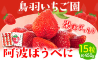 ＜ 先行予約 ＞ 阿波ほうべに 15粒 鳥羽農園《1月上旬-3月下旬頃出荷》 ふるさと納税 いちご 苺 イチゴ 徳島県 上板町 徳島県オリジナル品種 果物 フルーツ 送料無料