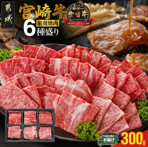 宮崎牛6種盛り焼肉食べ比べ300g≪みやこんじょ快速便≫_MJ-N202-R 1541320 - 宮崎県都城市