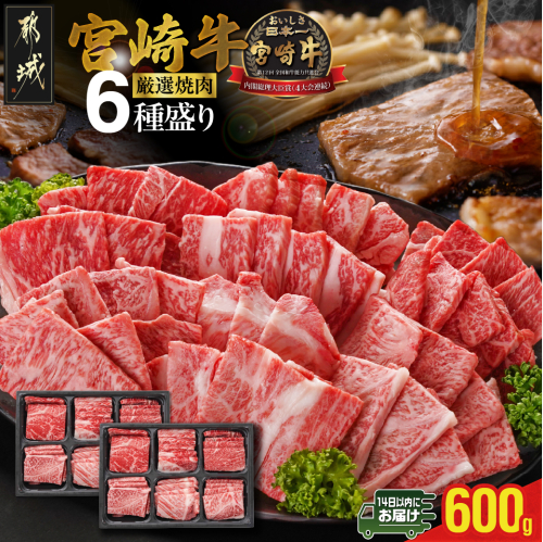 宮崎牛6種盛り焼肉食べ比べ600g≪みやこんじょ快速便≫_AC-N201-R 1541323 - 宮崎県都城市