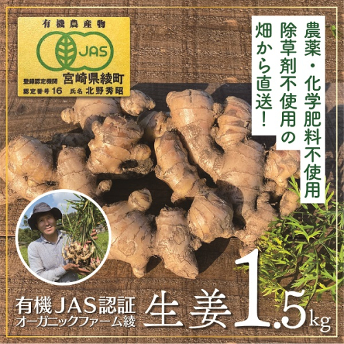 【有機JAS】生姜１.５kg◆ジンジャーエールに最適！ 154147 - 宮崎県綾町