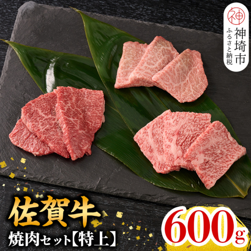 【2月発送】【こだわりの手切り！】牧場直送 佐賀牛焼肉セット(特上) (H106123) 1541525 - 佐賀県神埼市