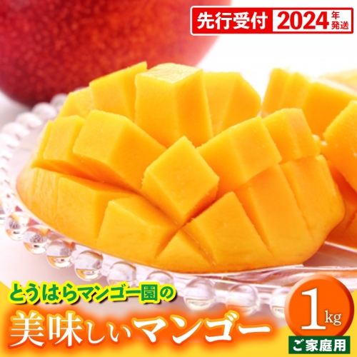 【先行受付】【2024年発送】とうはらマンゴー園の美味しいマンゴー家庭用　約1kg 154155 - 沖縄県八重瀬町
