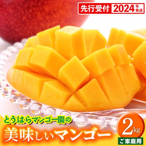 【先行受付】【2024年発送】とうはらマンゴー園の美味しいマンゴー家庭用　約2kg 154156 - 沖縄県八重瀬町
