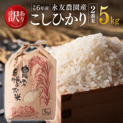 【訳あり】【令和6年産】永友農園産「こしひかり（2番米）」5kg 【 米 お米 白米 精米 国産 宮崎県産 コシヒカリ 】 1541702 - 宮崎県川南町