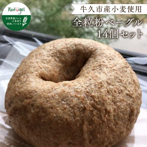 牛久市産小麦全粒粉100％のベーグル14個セット 154175 - 茨城県牛久市