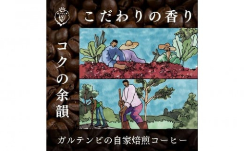 ガルテンビコーヒー 2種飲み比べセット　豆のまま　500g（250ｇ×2袋） 1542098 - 大阪府堺市