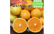 有田みかん 由良早生S〜Lサイズ混合 約10kg 【2025年発送 先行予約】