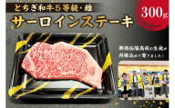 とちぎ和牛サーロインステーキ300g ns004-038 【肉 牛肉 和牛 黒毛和牛 ブランド牛 とちぎ和牛 霜降り肉】