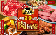 【数量限定】 近江牛 福袋 4種類 総量 2.9kg超 肉 切り落とし 550g すき焼き用 ロース 500g 近江小判ハンバーグ 15個 ビーフシチュー 250g × 3袋 豪華 一度に届く 冷凍 ギフト 肉 お取り寄せ 黒毛和牛 贈答用 ごはんのお供 三大和牛 ハンバーグ 惣菜 ブランド おかず 贈り物 自宅用 滋賀県 竜王町 岡喜 ふるさと納税 神戸牛 松阪牛 に並ぶ 日本三大和牛 お歳暮