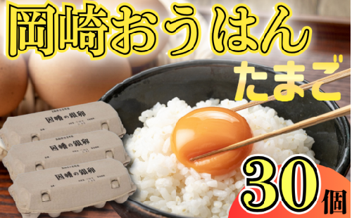 岡崎おうはん！薬膳鶏の自然な恵み！卵30個セット｜鳥取 たまご 鶏卵【33002】 1542322 - 鳥取県岩美町