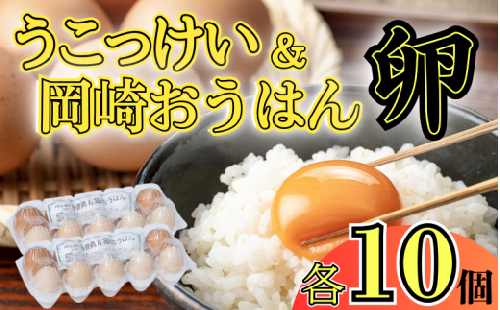 烏骨鶏＆岡崎おうはん薬膳鶏の自然な恵み！卵ペアセット｜鳥取 たまご うこっけい 鶏卵【33003】 1542323 - 鳥取県岩美町