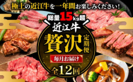 近江牛 100万円 定期便 12回 冷凍 肩ロース すき焼き しゃぶしゃぶ 焼肉用 切り落とし サーロインステーキ ビーフシチュー ハンバーグ ギフト 肉 お取り寄せ 黒毛和牛 贈答用 ごはんのお供 三大和牛 近江小判 惣菜 ブランド おかず 贈り物 自宅用 滋賀県 竜王町 岡喜 ふるさと納税 神戸牛 松阪牛 に並ぶ 日本三大和牛