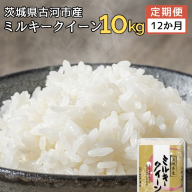 【定期便 12か月】【新米】 令和6年産 古河市産ミルキークイーン 10kg(5kg×2袋) | 米 こめ コメ みるきーくいーん 単一米 国産 産地直送 茨城県 古河市 _DP95