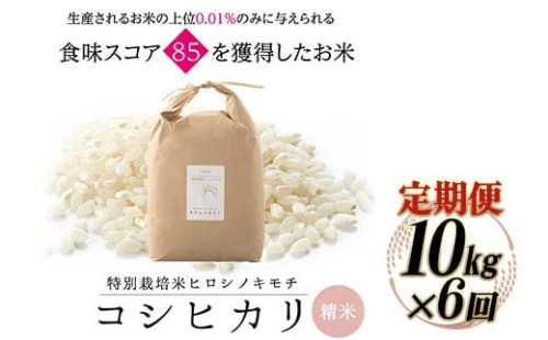 【6回定期】特別栽培米 コシヒカリ ヒロシノキモチ 精米 10kg 総計60kg ブランド米 銘柄米 国産 米 お米 日本米 ギフト 贈り物 備蓄 防災 食品 陽咲玲 はるざれ F6T-555 1542505 - 富山県立山町