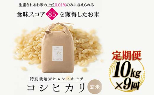 【9回定期】特別栽培米 コシヒカリ ヒロシノキモチ 玄米 10kg 総計90kg 陽咲玲 米 お米 コメ ご飯 ごはん 富山県産 富山県 立山町 F6T-462 1542506 - 富山県立山町