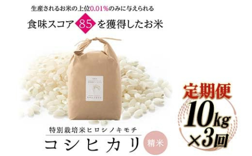 【3回定期】特別栽培米 コシヒカリ ヒロシノキモチ 精米 10kg 総計30kg ブランド米 銘柄米 国産 米 お米 日本米 ギフト 贈り物 備蓄 防災 食品 陽咲玲 はるざれ F6T-927 1542508 - 富山県立山町