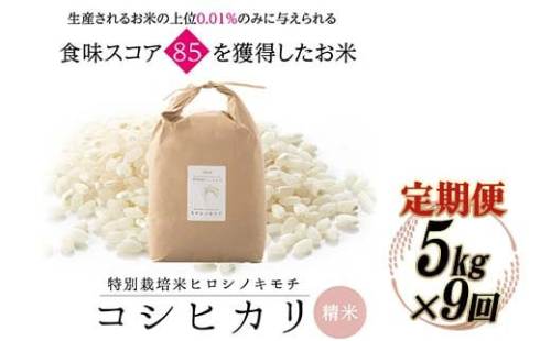 【9回定期】特別栽培米 コシヒカリ ヒロシノキモチ 精米 5kg 総計45kg ブランド米 銘柄米 国産 米 お米 日本米 ギフト 贈り物 備蓄 防災 食品 陽咲玲 はるざれ F6T-557 1542510 - 富山県立山町