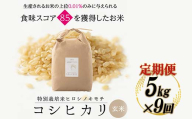 【9回定期】特別栽培米 コシヒカリ ヒロシノキモチ 玄米 5kg 総計45kg 陽咲玲 米 お米 コメ ご飯 ごはん 富山県産 富山県 立山町 F6T-938