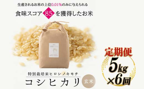 【6回定期】特別栽培米 コシヒカリ ヒロシノキモチ 玄米 5kg 総計30kg 陽咲玲 米 お米 コメ ご飯 ごはん 富山県産 富山県 立山町 F6T-466 1542514 - 富山県立山町