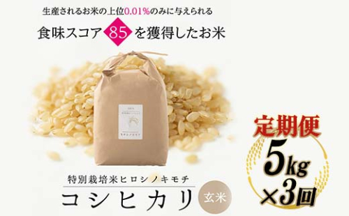 ≪先行予約≫【3回定期】特別栽培米 コシヒカリ ヒロシノキモチ 玄米 5kg 総計15kg 陽咲玲 米 お米 コメ ご飯 ごはん 富山県産 富山県 立山町 F6T-893 1542515 - 富山県立山町