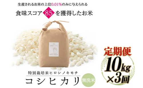 【3回定期】特別栽培米 コシヒカリ ヒロシノキモチ 無洗米 10kg 総計30kg 陽咲玲 米 お米 コメ 無洗米 ご飯 ごはん 富山県産 富山県 立山町 F6T-933 1542519 - 富山県立山町
