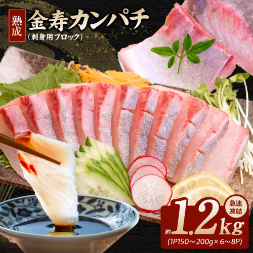 冷凍熟成金寿カンパチ1200ｇ（刺身用ブロック） N015-YC077 1542523 - 宮崎県延岡市