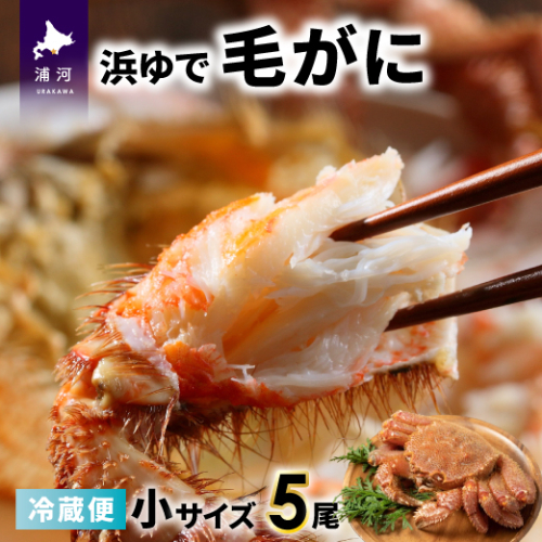 【今が旬！】漁協の浜ゆで毛がに 小サイズ５尾セット※日付指定対応不可※[02-1414] 1542642 - 北海道浦河町