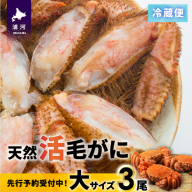 【先行受付開始！】漁協の活毛がに 大サイズ３尾※日付指定対応不可※[02-1420]