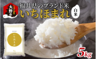 【令和6年産 新米】福井県産 いちほまれ（白米）5kg