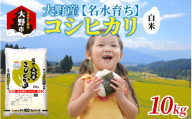 【令和6年産 新米】大野産コシヒカリ（白米）10kg【大野ブランド米 名水育ち】