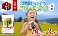 【3ヶ月定期便】【令和6年産 新米】大野産コシヒカリ（白米）10kg×3回 計30kg【大野ブランド米 名水育ち】