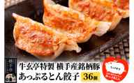 牛玄亭特製 横手産銘柄豚 あっぷるとん餃子 36個（18個入り×2）