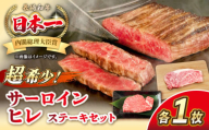 長崎和牛 サーロイン ヒレ ステーキセット 各1枚 《壱岐市》【KRAZY MEAT】 A5 A4 冷凍 和牛 肉 牛肉 BBQ 詰め合わせ 贈り物 [JER100]