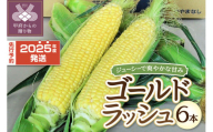 〈2025年度配送分〉とうもろこし「ゴールドラッシュ」 6本（2025年6月上旬～下旬にかけて順次配送予定）