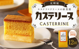 16 世紀後半より、長崎の銘菓として独自に発展した「カステラ」が、460年の時を経て、新たな歩みを始めます！有名パティシエが手がけた、新感覚＆新食感スイーツの誕生です。「ふわふわ、しっとり、だけじゃな