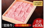 茨城県銘柄黒毛和牛常陸牛ロース焼肉用約450g【牛肉 和牛 ブランド牛 常陸牛 パーティ BBQ バーベキュー 水戸市 茨城県】(JB-7)