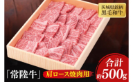 茨城県銘柄黒毛和牛常陸牛肩ロース焼肉用約500g【牛肉 和牛 ブランド牛 常陸牛 パーティ BBQ バーベキュー 水戸市 茨城県】(JB-8)