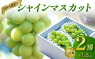 【先行受付（令和7年度発送）】大粒もぎたてシャインマスカット2房 1.2kg程度 ギフト箱入り FSY-2030