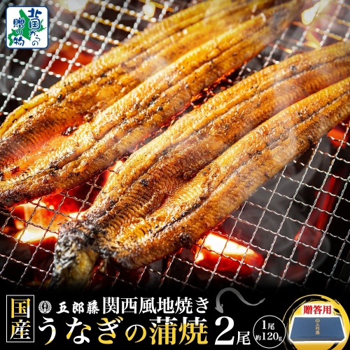 【贈答用】五郎藤 関西風地焼き 国産有頭旨鰻 120g×2尾 計約240g【うなぎ 関西風地焼き  ウナギ 蒲焼き 炭火 訳あり 数量限定 有頭 北国からの贈り物 厳選】 099H3442-2 1544952 - 大阪府泉佐野市