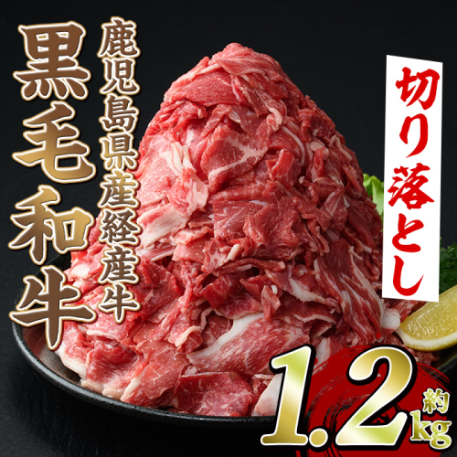 黒毛和牛鹿児島県産(経産牛)切り落とし(計1.2kg・600g×2P) 国産 牛肉 肉 冷凍配送 小分け 個包装 セット しゃぶしゃぶ すき焼き バーベキュー BBQ 鍋【スターゼン】akn042-04 154518 - 鹿児島県阿久根市