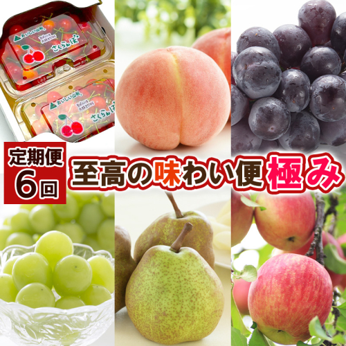 【定期便6回】至高の味わい便 極み 【令和8年産先行予約】FS25-617 1545227 - 山形県山形市