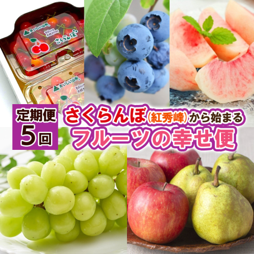 【定期便5回】さくらんぼ(紅秀峰)から始まるフルーツの幸せ便 【令和8年産先行予約】FS25-626 1545373 - 山形県山形市