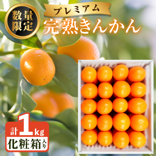 先行予約≪数量限定≫完熟きんかんプレミアム(計1kg) 化粧箱入り フルーツ 果物 柑橘 国産_T042-001 1545452 - 宮崎県都農町