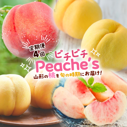 【定期便4回】ピチピチPeache's 【令和7年産先行予約】FS24-742 1545457 - 山形県山形市