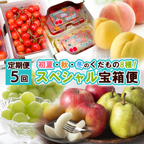 【定期便5回】スペシャル宝箱便 【令和8年産先行予約】FS25-616 1545459 - 山形県山形市