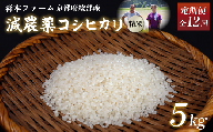 【定期便12回】【令和6年産】新米 減農薬コシヒカリ 精米 5kg 毎月お届け 12ヶ月【 定期便 米 コシヒカリ こしひかり 5キロ 5kg 精米 白米 こめ コメ お米 おこめ 農家直送 減農薬 低農薬 綾部 京都 森本ファーム 】